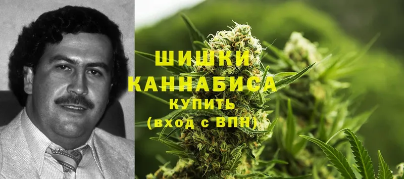 Конопля SATIVA & INDICA  купить наркотик  kraken как войти  Благодарный 